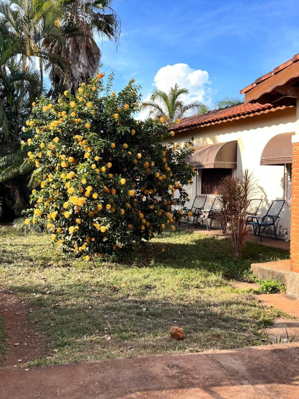 ac07582f-f0f1-48e0-beee-72dd9e2f25dc