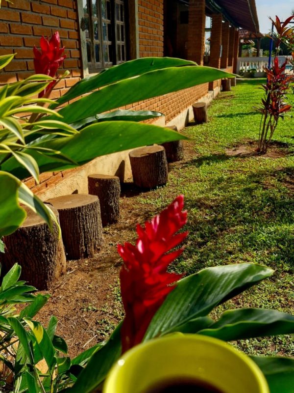 cbca48b2-6632-4cf9-b5b7-a400d4640589