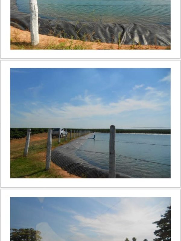 d1ce0649-ba55-4c32-b6e7-a56716e31ff9