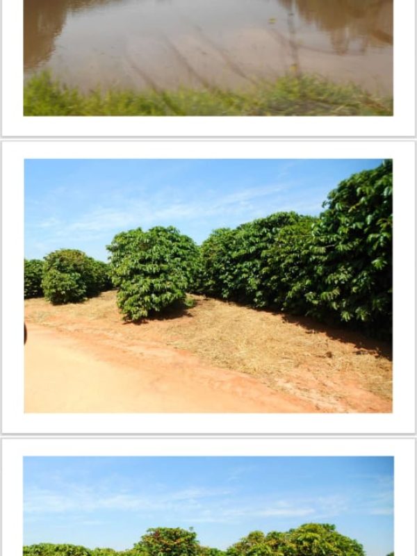 d4416f63-60ba-4e0f-b945-9dffb6899af8