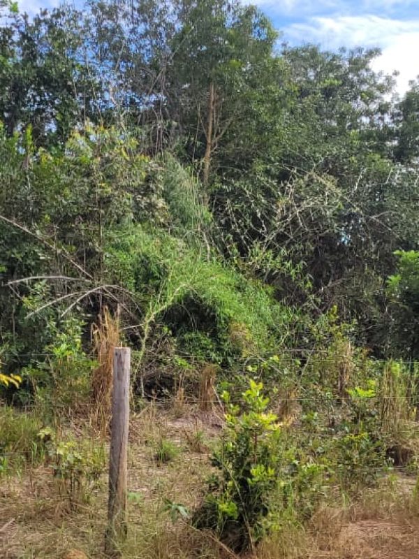 dfdf2bf4-f26d-4ea0-9151-f053c6c125d5