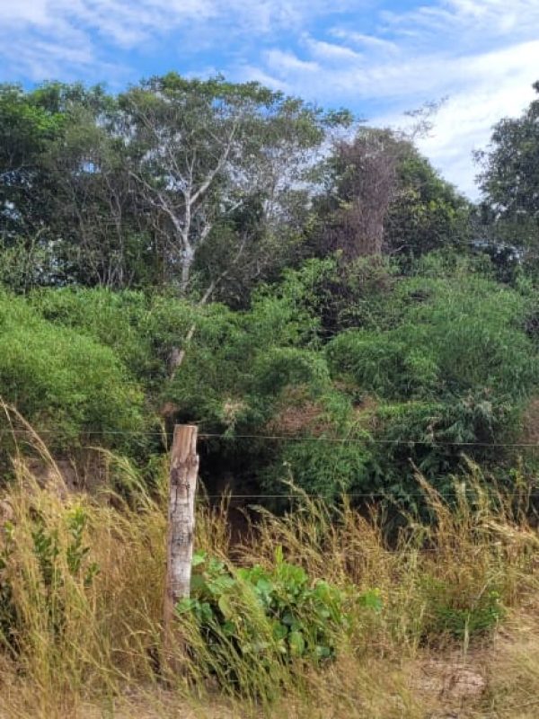 e4242854-6561-4627-af0a-93a703eed1d4