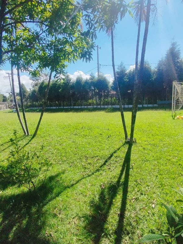 e91d00d7-8efb-449b-9e72-97e64f9805ce